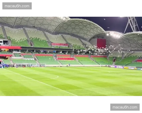 墨尔本城战平江原FC确保亚冠淘汰赛晋级资格